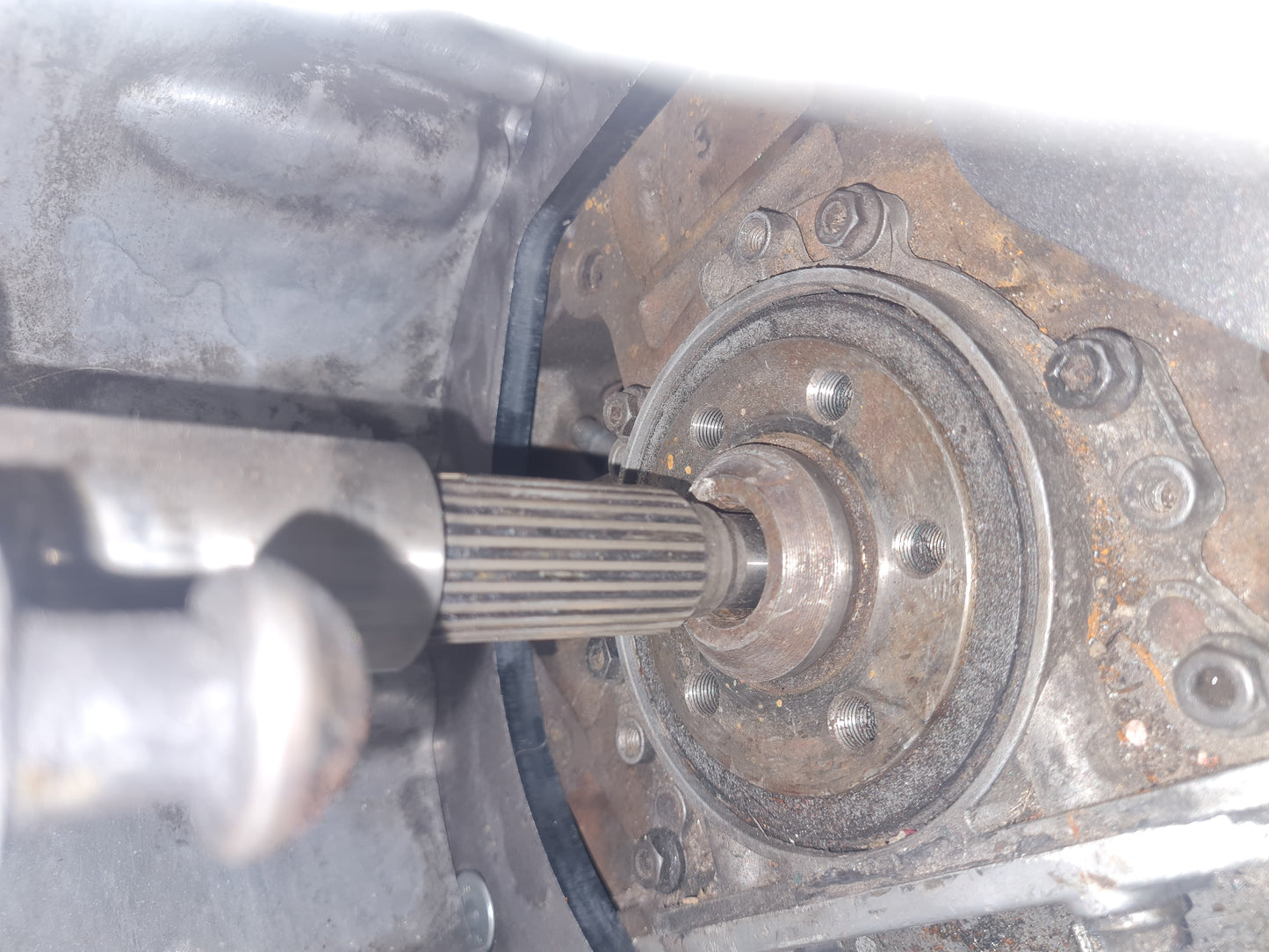 4° Isuzu 2.6i + Vw 1.9 tdi, 1.8t swap
